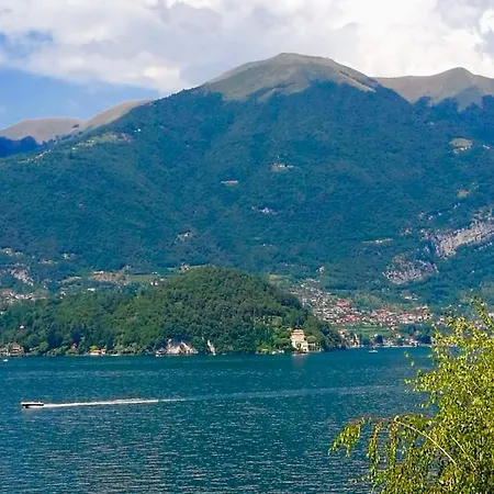 L'agrifoglio